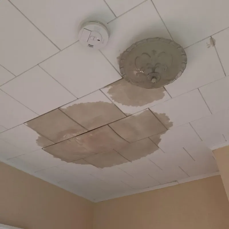 Ceiling Water Damage Repair in Benton County, OR