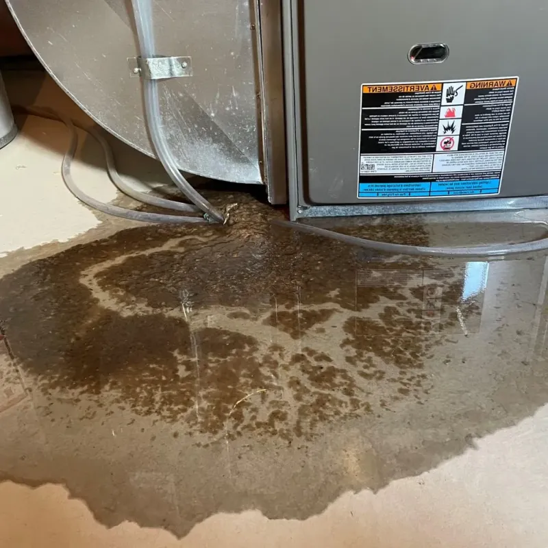Pipe Burst and Leak Restoration in Benton County, OR
