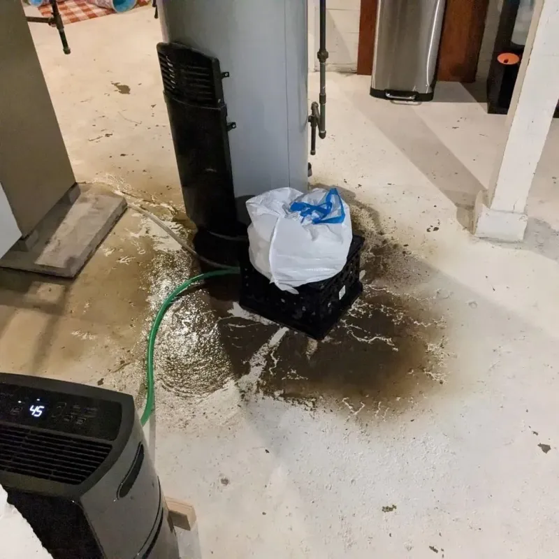Sewage Backup Cleanup Service in Benton County, OR
